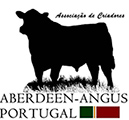 Aberdeen angus